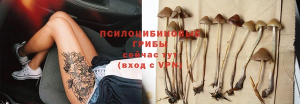 гидропоника Балахна