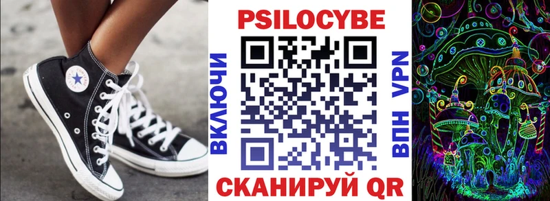 Псилоцибиновые грибы Psilocybe гидра онион Черняховск